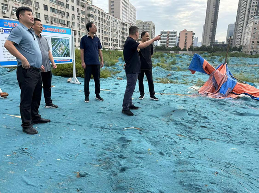 米兰官方网站-米兰MiLan(中国)
党委委员、副总经理张岩到侯寨新镇区安置区调研项目建设工作